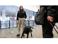 TSA administrator ‘a huge fan’ of third-party canine cargo screening