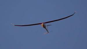 Vanilla Aircraft Eyes Larger Versions Of Long-Duration UAV