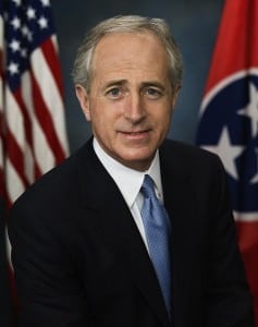 Foreign Relations Committee Chairman To Block Future Arms Sales To Gulf Nations Until Qatar Situation Resolved