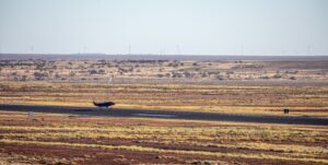 Royal Australian Air Force and Boeing Herald First Flight of Loyal Wingman