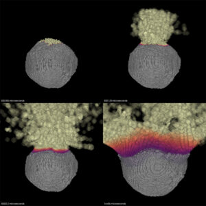 Burkey_AsteroidSim_4-Panel_1000px2