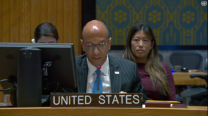 U.S. Deputy Ambassador Robert Wood spoke during a meeting of the United Nations Security Council on May 20. Screenshot via United Nations