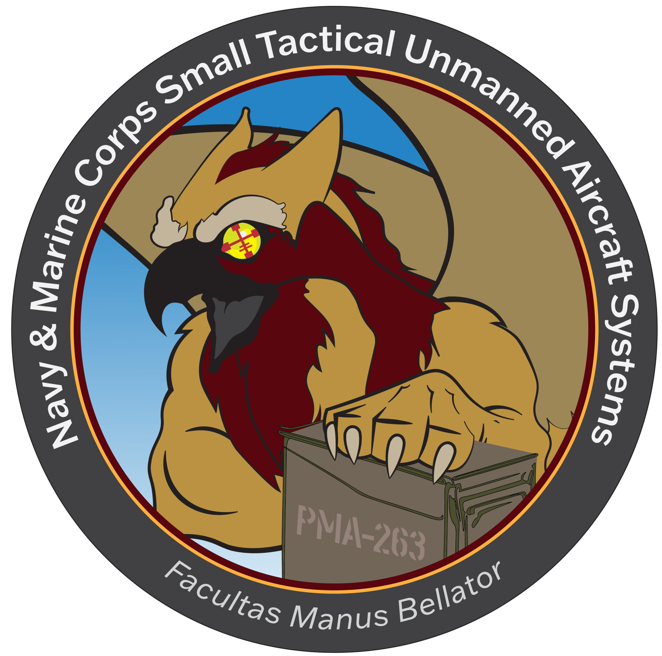 Navy Seeks Industry Help For Foreign Partner Long Range UAV
