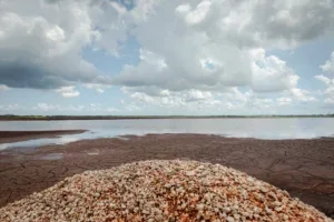 Screenshot+2024-04-01+at+9.28.35 AM