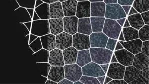 b0b285ee021ceca4a6a4639f0890fe1391e798e0-1497x842