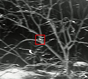 L3Harris Adding Shield AI’s Computer Vision Tech To Strengthen VAMPIRE C-UAS Platform